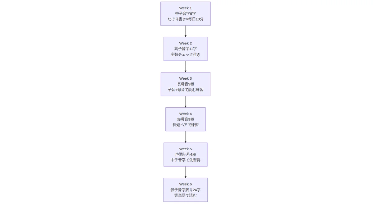 6週間ロードマップ